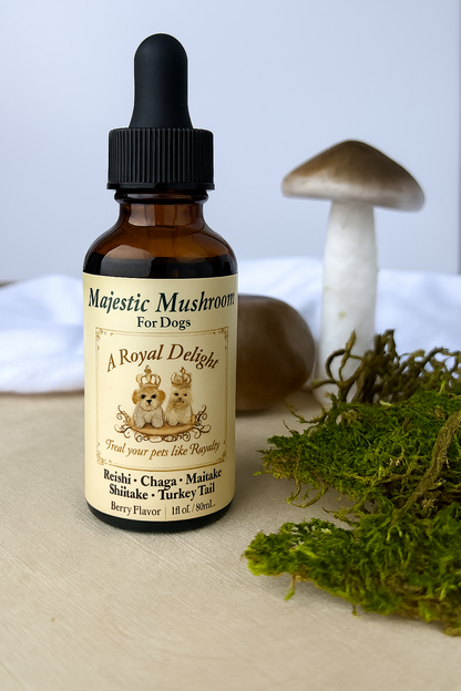 Majestic Mushrooms for Dogs