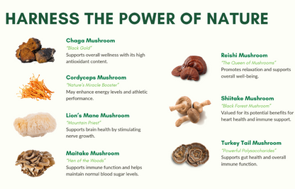 Majestic Mushrooms for Dogs